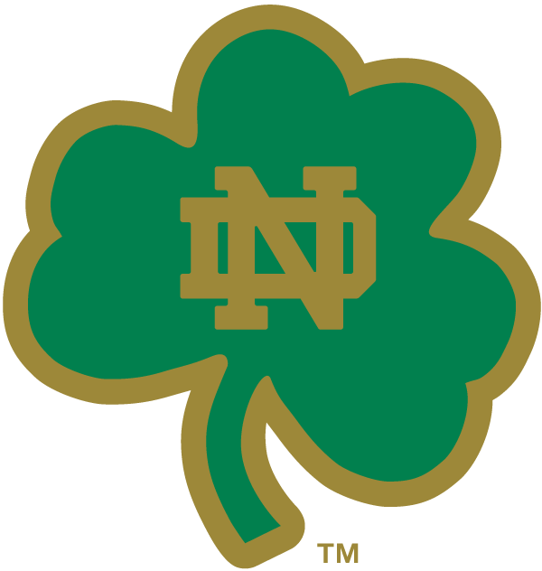 Notre Dame Fighting Irish 1994-Pres Alternate Logo v15 iron on transfers for T-shirts